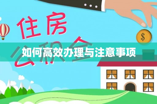德清如何高效办理与注意事项