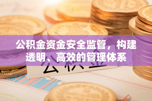 德清公积金资金安全监管，构建透明、高效的管理体系