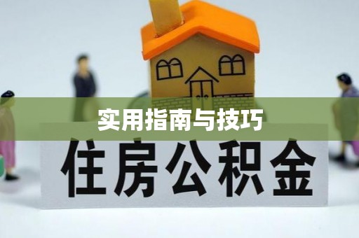 德清实用指南与技巧