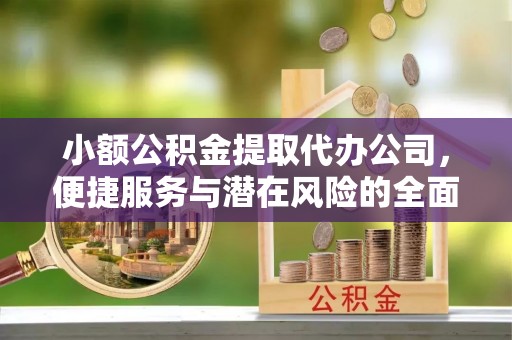 德清小额公积金提取代办公司，便捷服务与潜在风险的全面解析