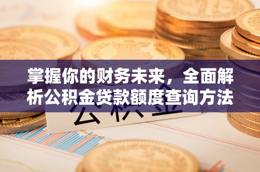 德清掌握你的财务未来，全面解析公积金贷款额度查询方法