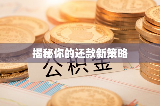 德清揭秘你的还款新策略