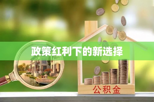 德清政策红利下的新选择