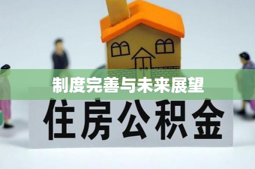 德清制度完善与未来展望