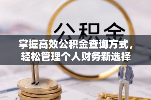 德清掌握高效公积金查询方式，轻松管理个人财务新选择