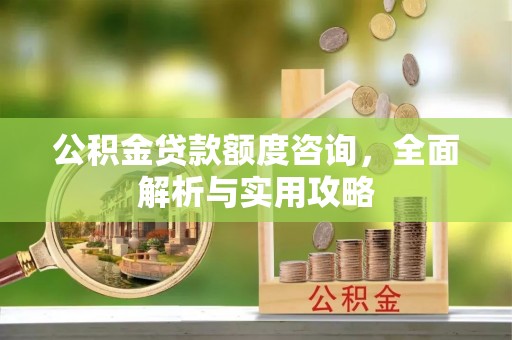 德清公积金贷款额度咨询，全面解析与实用攻略
