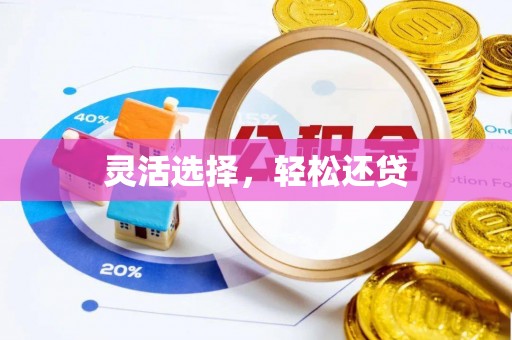 德清灵活选择，轻松还贷