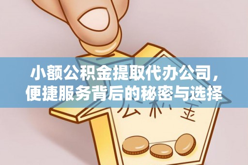德清小额公积金提取代办公司，便捷服务背后的秘密与选择指南
