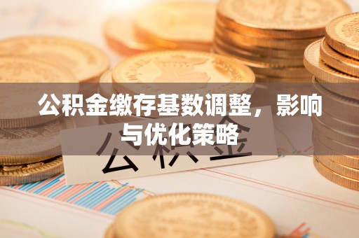 德清公积金缴存基数调整，影响与优化策略