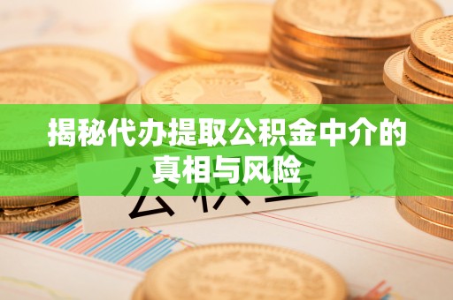 德清揭秘代办提取公积金中介的真相与风险