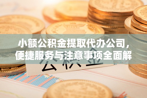 德清小额公积金提取代办公司，便捷服务与注意事项全面解析