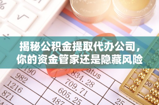 德清揭秘公积金提取代办公司，你的资金管家还是隐藏风险？