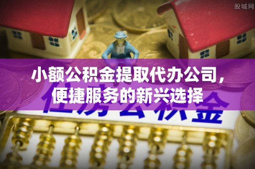 德清小额公积金提取代办公司，便捷服务的新兴选择