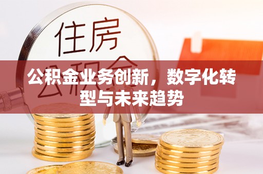 德清公积金业务创新，数字化转型与未来趋势