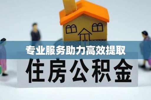 德清专业服务助力高效提取