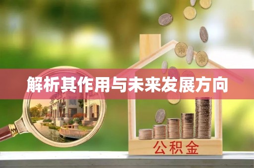 德清解析其作用与未来发展方向