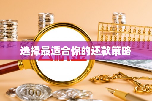德清选择最适合你的还款策略