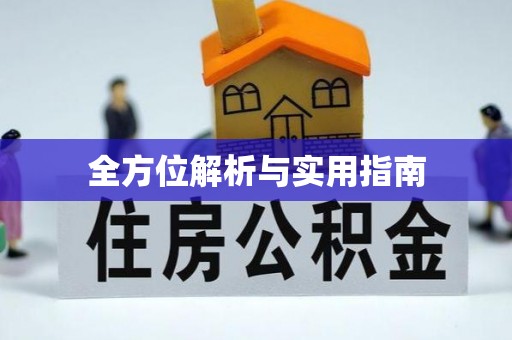 德清全方位解析与实用指南