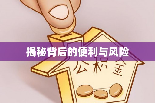 德清揭秘背后的便利与风险
